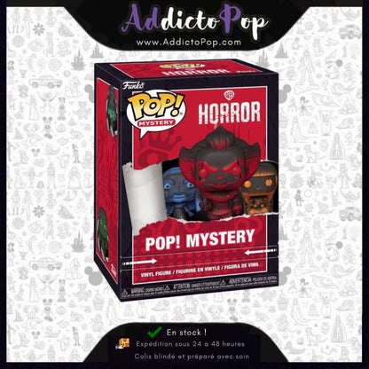 Funko Pop! Mystery Warner Bros Horror – Modèle Aléatoire (Chase Possible 1/72 + Worldwide Chase Possible)