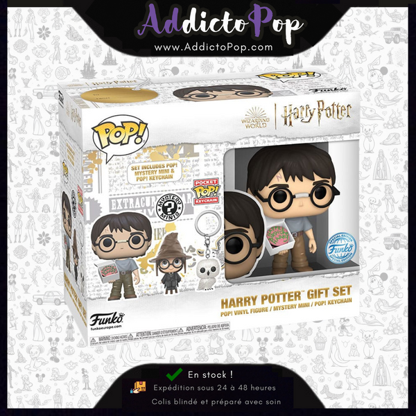 Funko Box Collector Harry Potter - Harry Potter with Birthday Cake (Special Edition) + Mystery Minis + Keychain Hedwig (Exclusive)