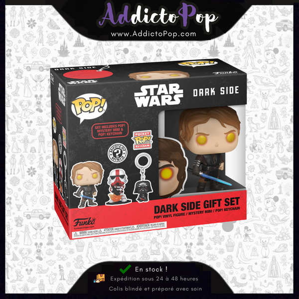 Funko Box Collector Star Wars - Anakin Skywalker Dark Side (Special Edition) + Mystery Minis + Keychain Hedwig (Exclusive)