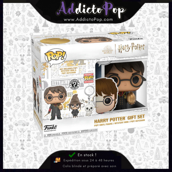 Funko Box Collector Harry Potter - Harry Potter (Triziward) (Special Edition) + Mystery Minis + Keychain Hedwig (Exclusive)